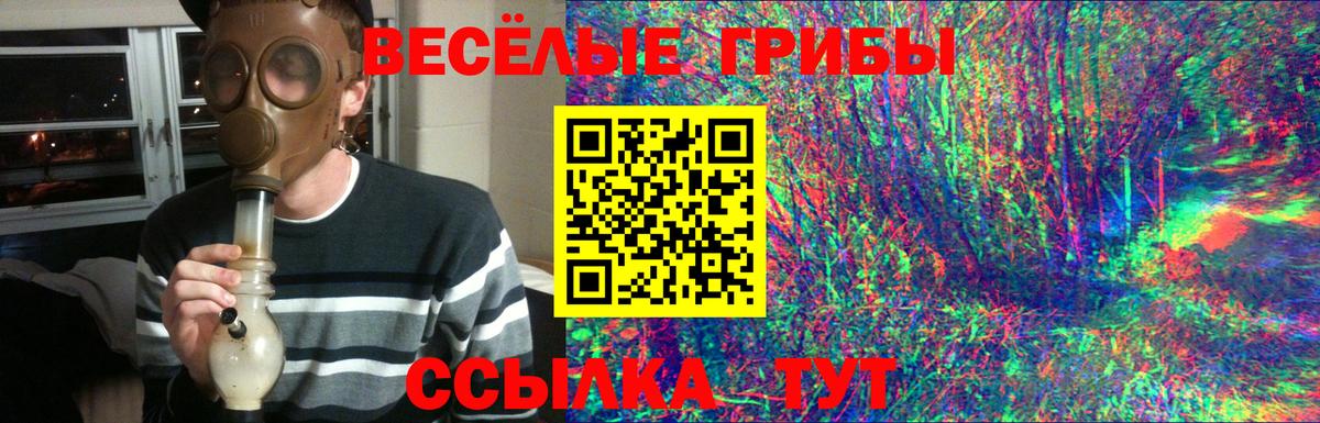 Каменск-Шахтинский  Псилоцибиновые грибы ЛСД  Вход с VPN 
